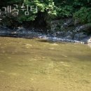 솔봉펜션 이미지