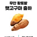 왕지농장 이미지