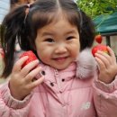 주성농장 이미지