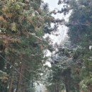 송아목장 이미지