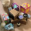 LUSH 러쉬 러버의 SHAVED ICE 쉐이브드 아이스 쉐이빙크림, 인터갈릭틱 보디 스크럽, BIG 샴푸 제품 리뷰!