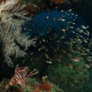 서귀포도립해양공원 이미지