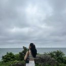 다린 아시안 마트 | 夏