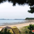 실미농장 이미지