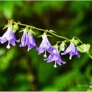 노곡농장 이미지