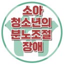 [아동청소년기 분노조절 장애] 부모관계, 갈등, 욕구불만, 사회성, 강남아동상담센터, 대치동아동상담센터, 한국아동청소년심리상담센터 이미지