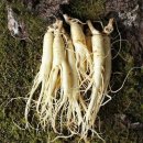 팔도농장 이미지