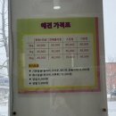 수애견