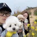 내리목장 | 톤누지랑 제주도 가기 프로젝트🏝️🍊