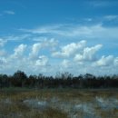 Everglade national park 이미지