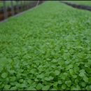 수경농장 이미지