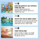 ✨ 나트랑 셀렉텀노아 자유여행 ✨ 649,000부터~ 이미지