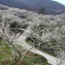 제주남도 이미지