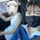 송도해모수 찜질사우나 이미지
