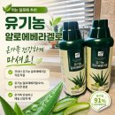 건강부터 | 먹는알로에 추천｜채움건강 유기농알로에베라겔 후기, 장건강부터 피부관리까지