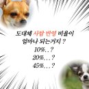 가온역사학원