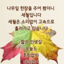 한주 이미지