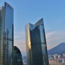 트럼프월드마린 이미지