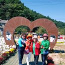 그라운드 골프 이미지