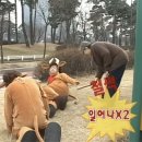 변강쇠해장국 | 꿀꿀..2026년 시작