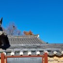 팔공산올레길 6코스 이미지