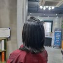 대구미장원 - 울진군 | 대구미장원