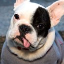 우성동물병원 이미지