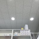 봄약국 Daum카페