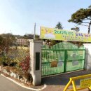 내기새싹길 이미지