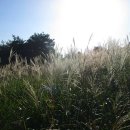 방주목장 이미지