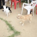 수리야 놀자 이미지