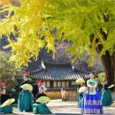 운곡 | 경주 가볼만한곳 2025 운곡서원 가을음악회 후기