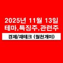 11월 13일 특징주(제약바이오 면역항암제 관련주, 바이오시밀러, 반도체,CXL, 동박, 파킨슨병 치료제...