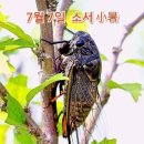 "전우가 좋아"---(906) "인생 이야기"---(399) (小暑) &amp; (치매 교육) 이미지