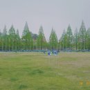 이상상사회적협동조합