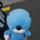 쏙닭쏙닭 이미지