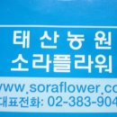 태산플라워