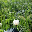 봉산축산 이미지