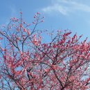 UN기념공원 좌측 이미지