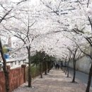 창현헤어 이미지