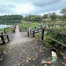 묘곡내동길 | [공지] 추석맞이 충주 여행 4박 5일 일정 및 후기