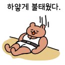 지비짐 갈마점 이미지