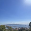 아잇푸드 | 스페인 마요르카 팔마 여행기 11탄 _ 팔마 유적지,전통시장,시내쇼핑까지 한번에