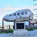 [제113차 푸른 산악회 1월정기산행 ]선자령 대관령 옛길 이미지