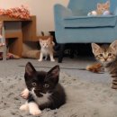 2016년 7월 별자리 운세(마리끌레르-마리아-수잔밀러- ELLE) 이미지