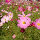 복지정비서부사업소 이미지