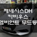 카비우스 - 11331 | 카비우스