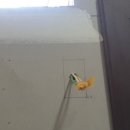 임가정의원 이미지