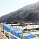 시냇물 2 농장 이미지