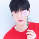 태현